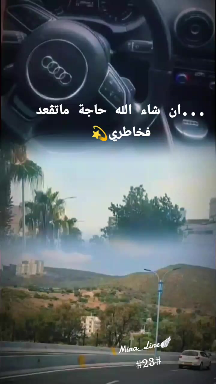 @👑Mira_Line🪽