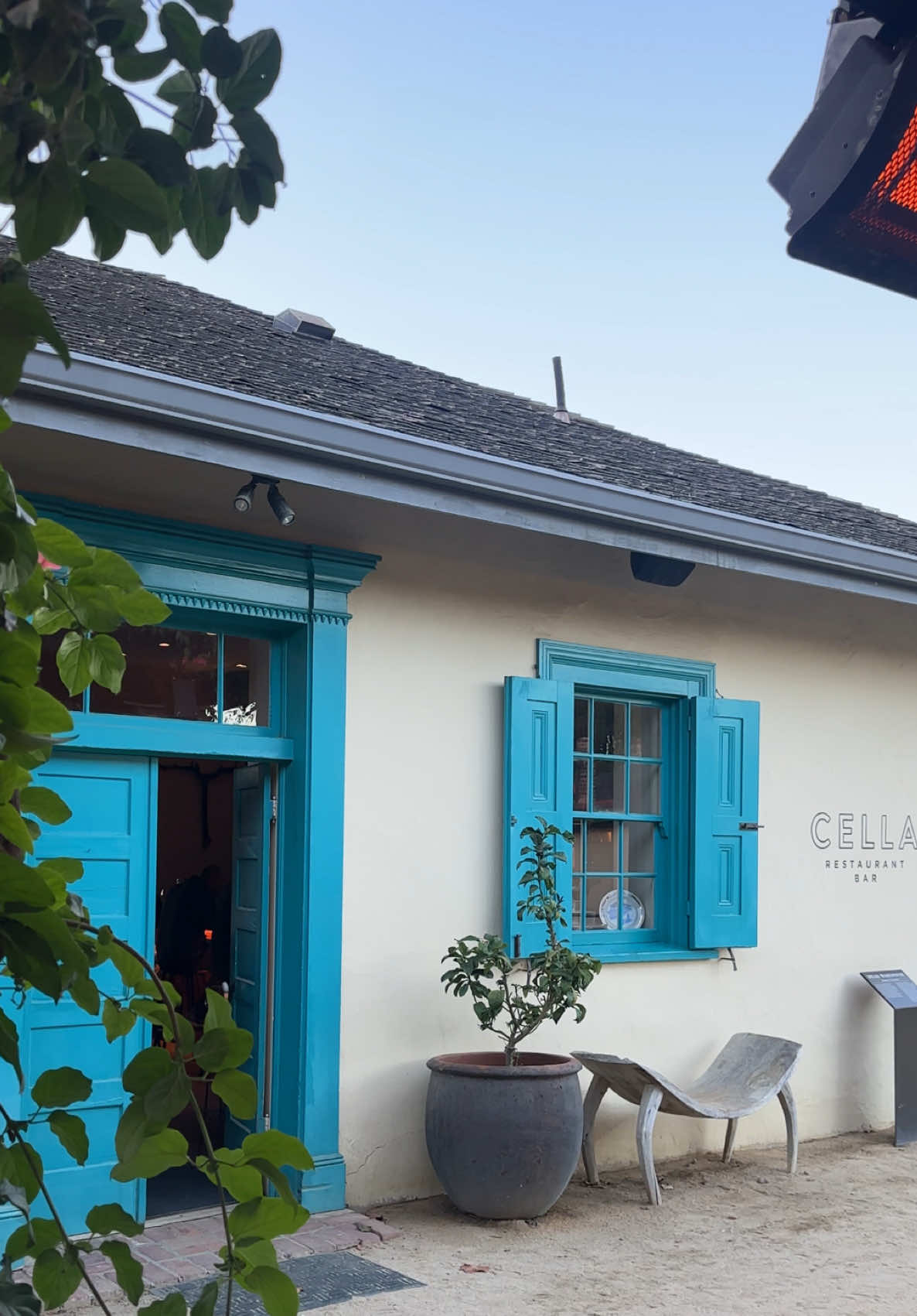 @Bella Luna