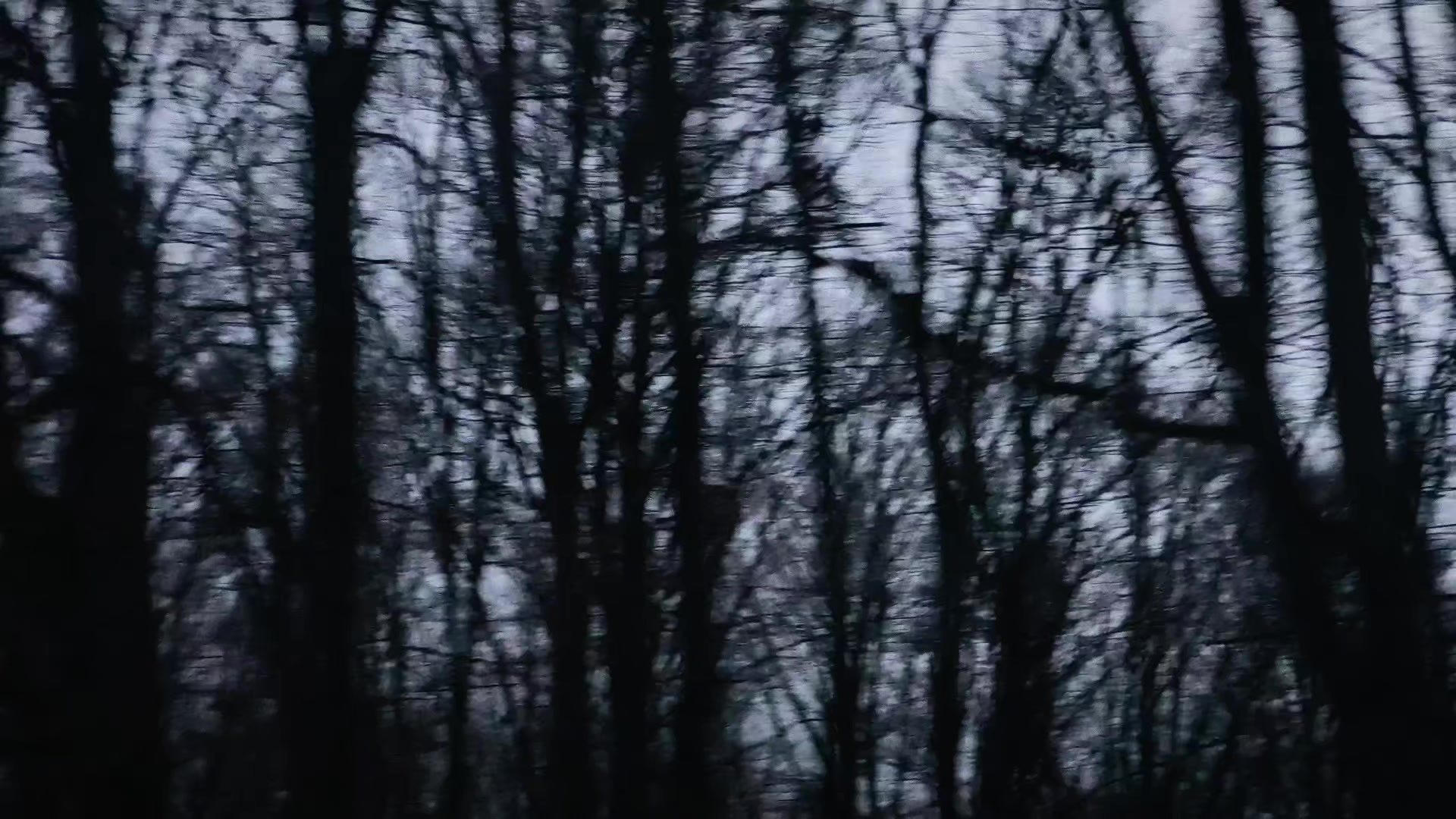 @𝖆𝖓𝖜𝖕𝖔𝖑𝖑