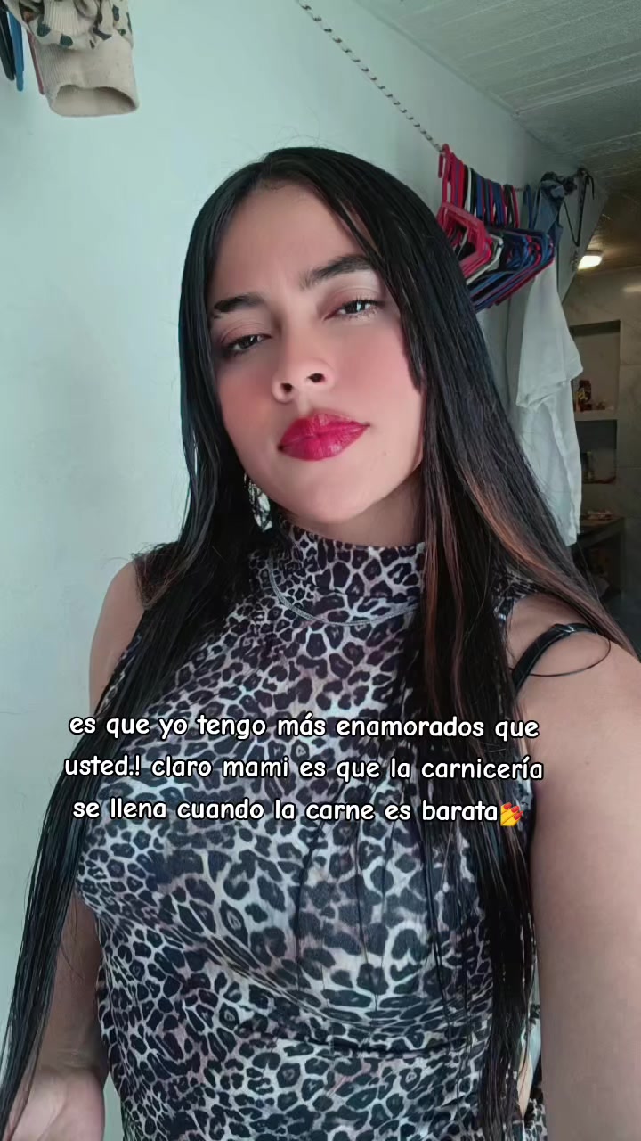 @daniigalavis0219