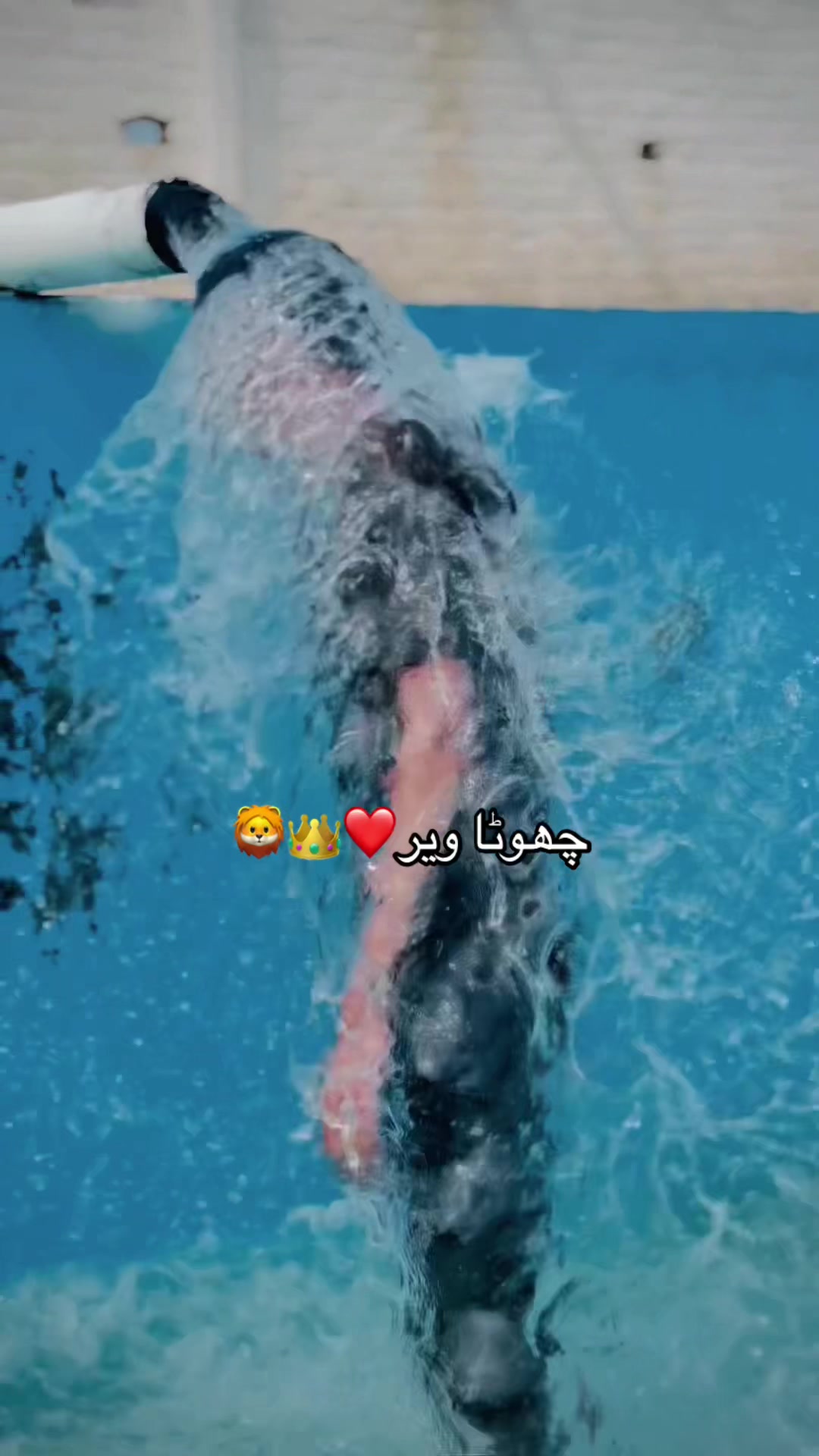 @SHERiiii🚩🤍
