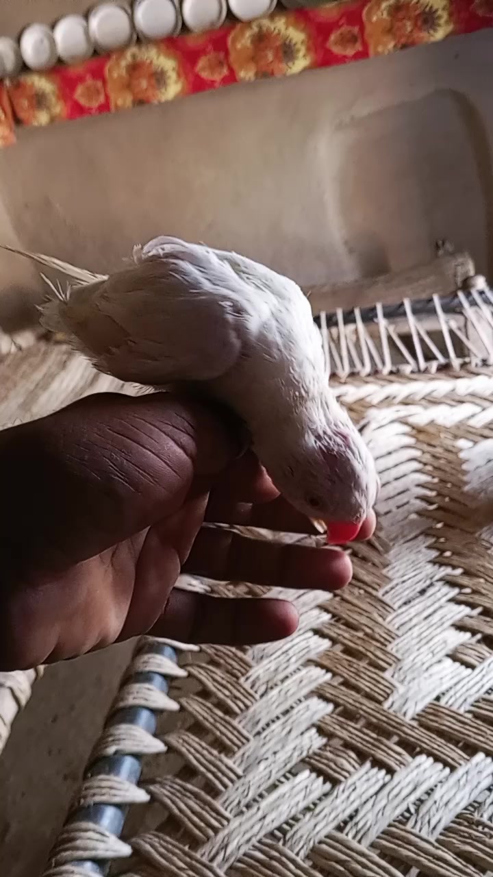 @جام نیاز