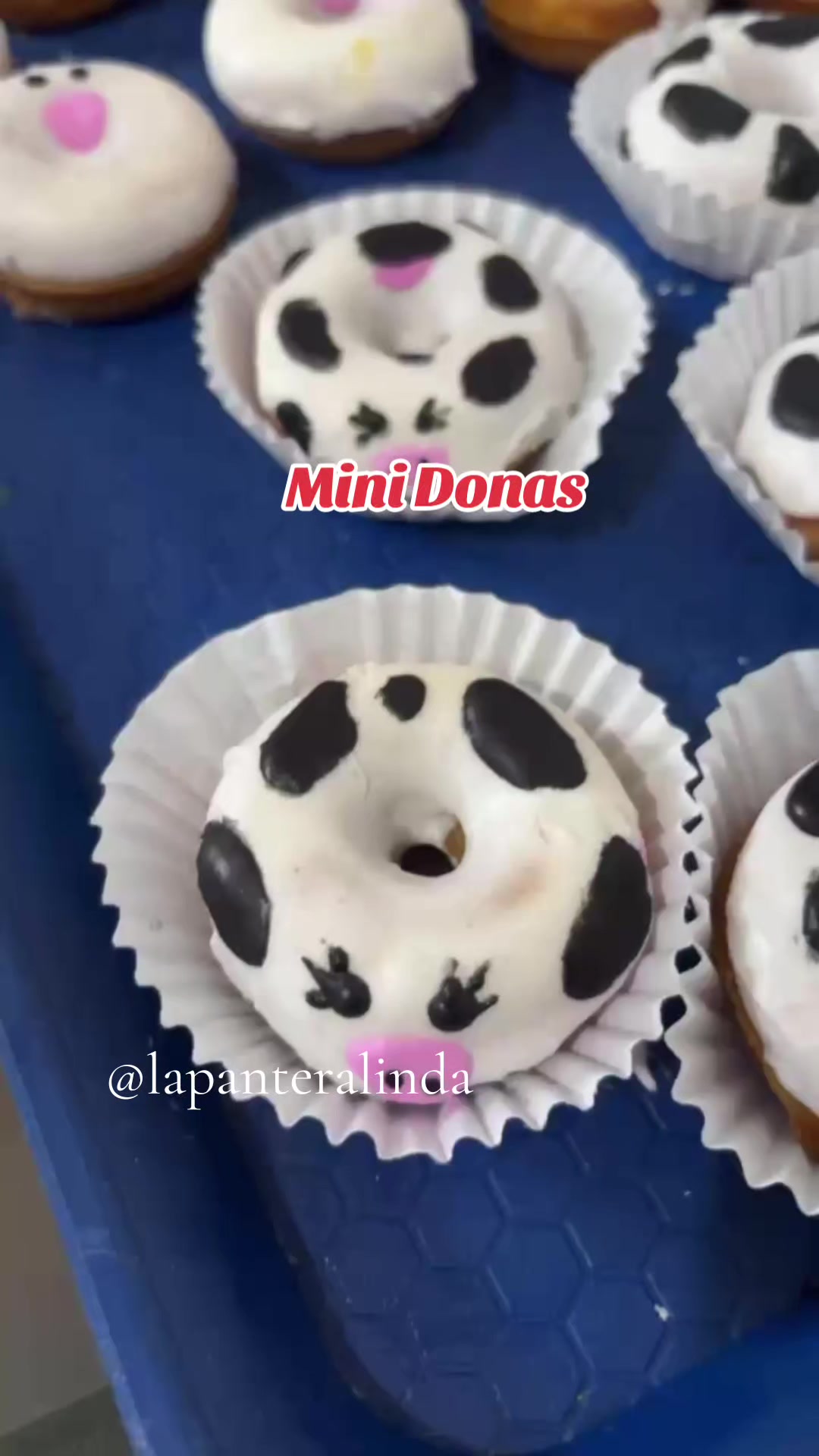 @La pantera linda