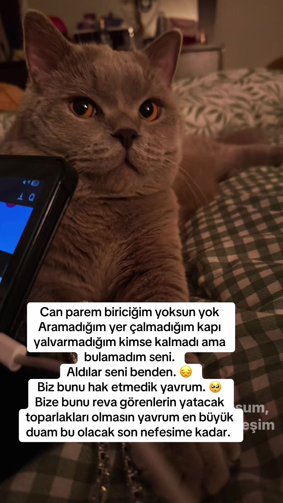 @BULUT KAYIP