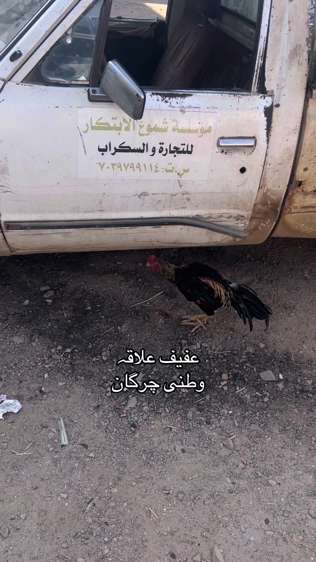 @🇵🇰 شینواری یم🇸🇦