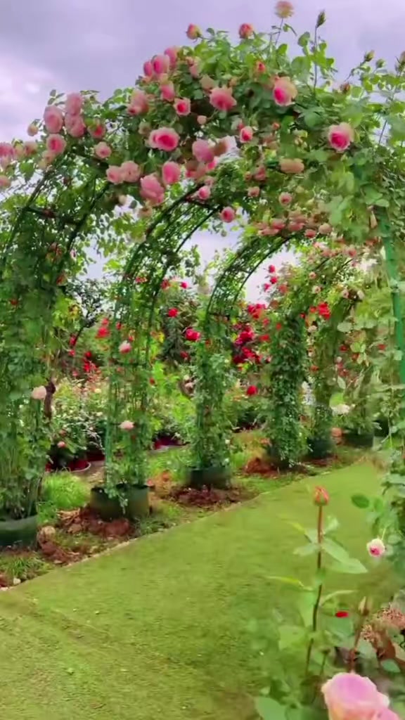 @নাজমিন আক্তার মনি