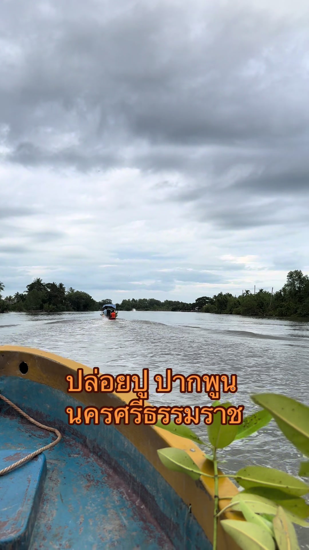 @DanaiChanchaochai