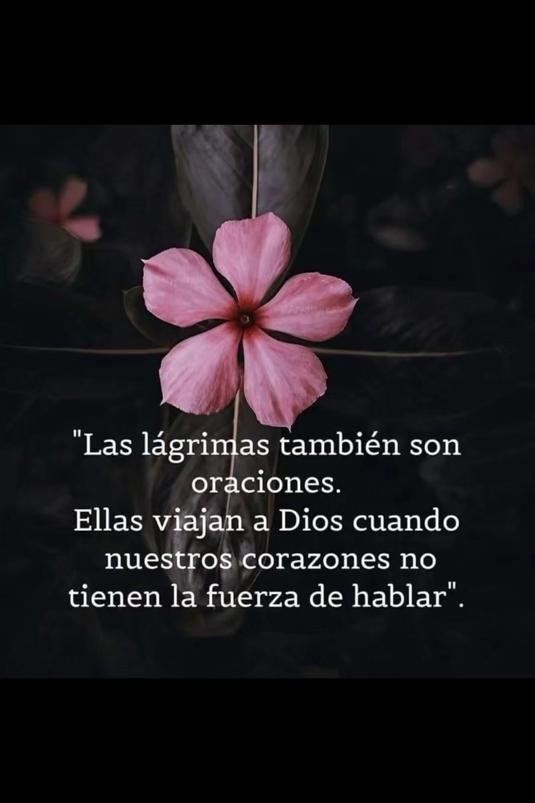 @Linda Garcia