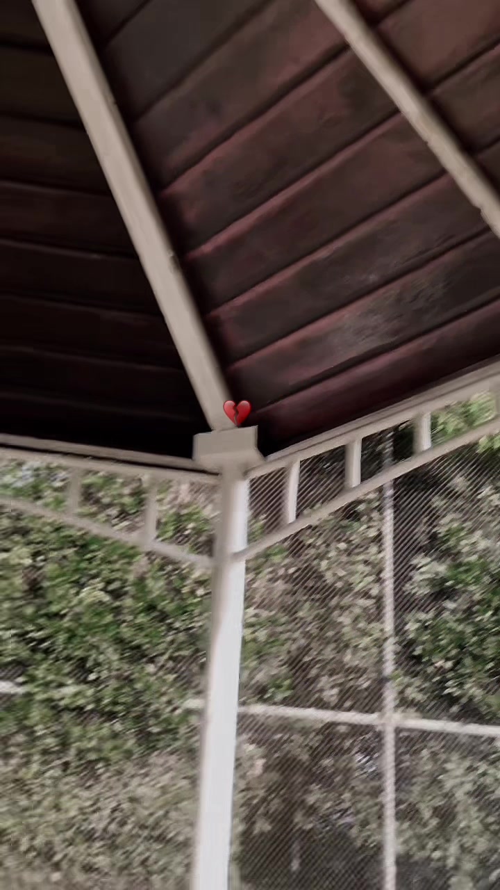@꧁༒☬𝔃𝓪𝓫𝓲 𝓙𝓪𝓷☬༒꧂🔥✌️