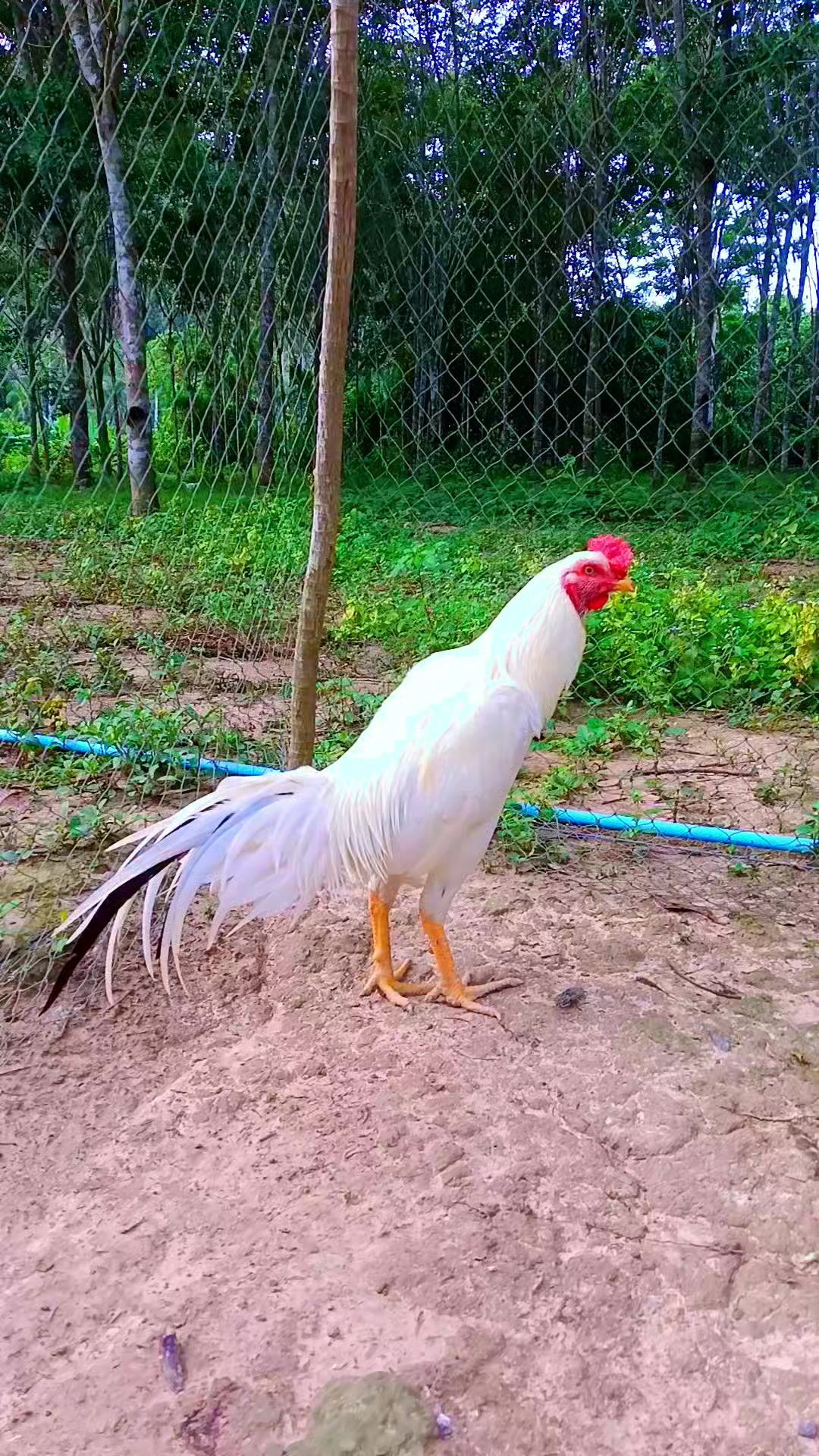 @ยัดไม่เข้าให้เอาหัวถู3ครััง
