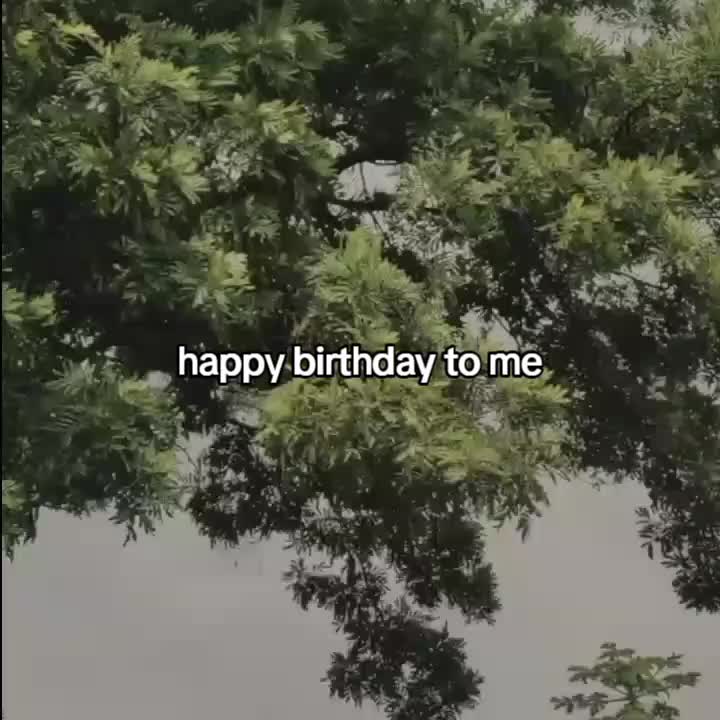 @goodvibez0