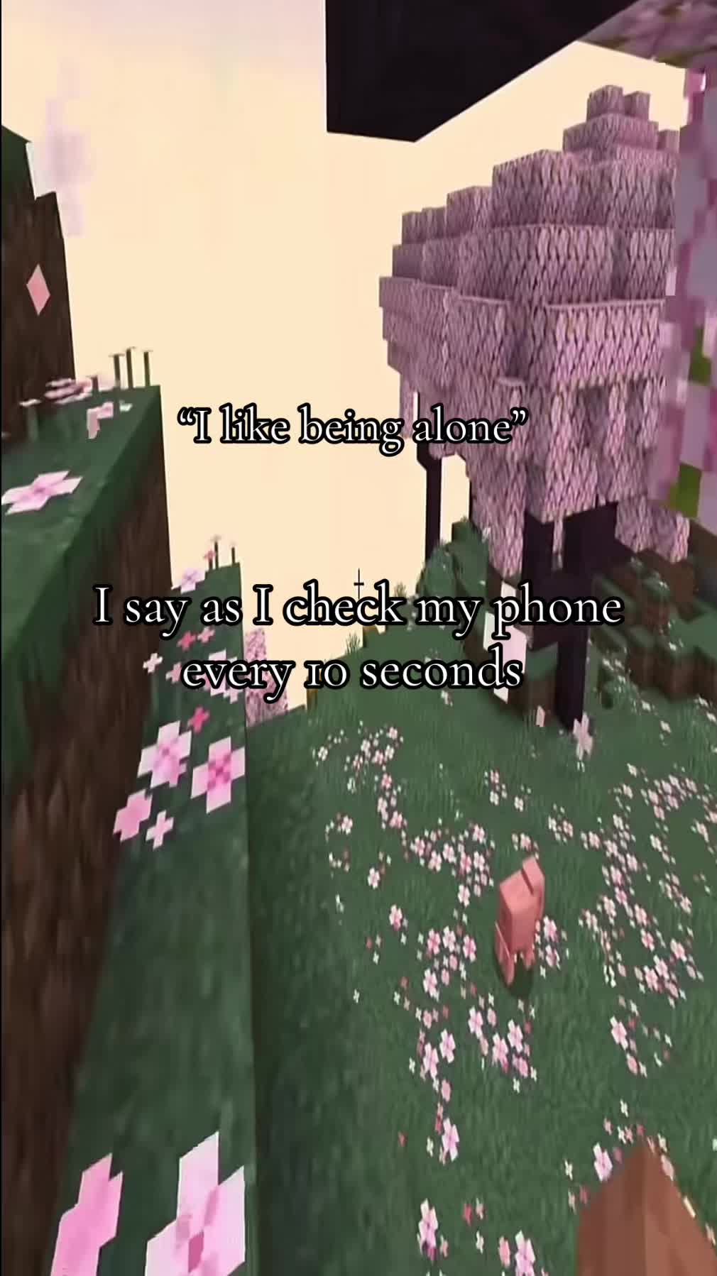 @c6_inches