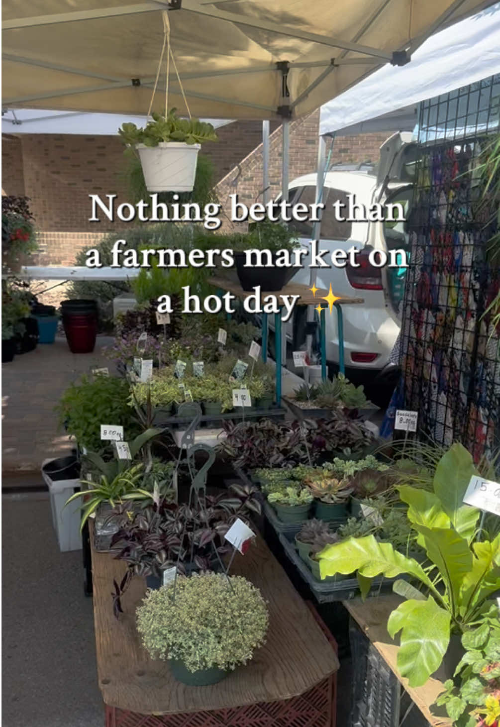@MoonShade & Moss 🌜