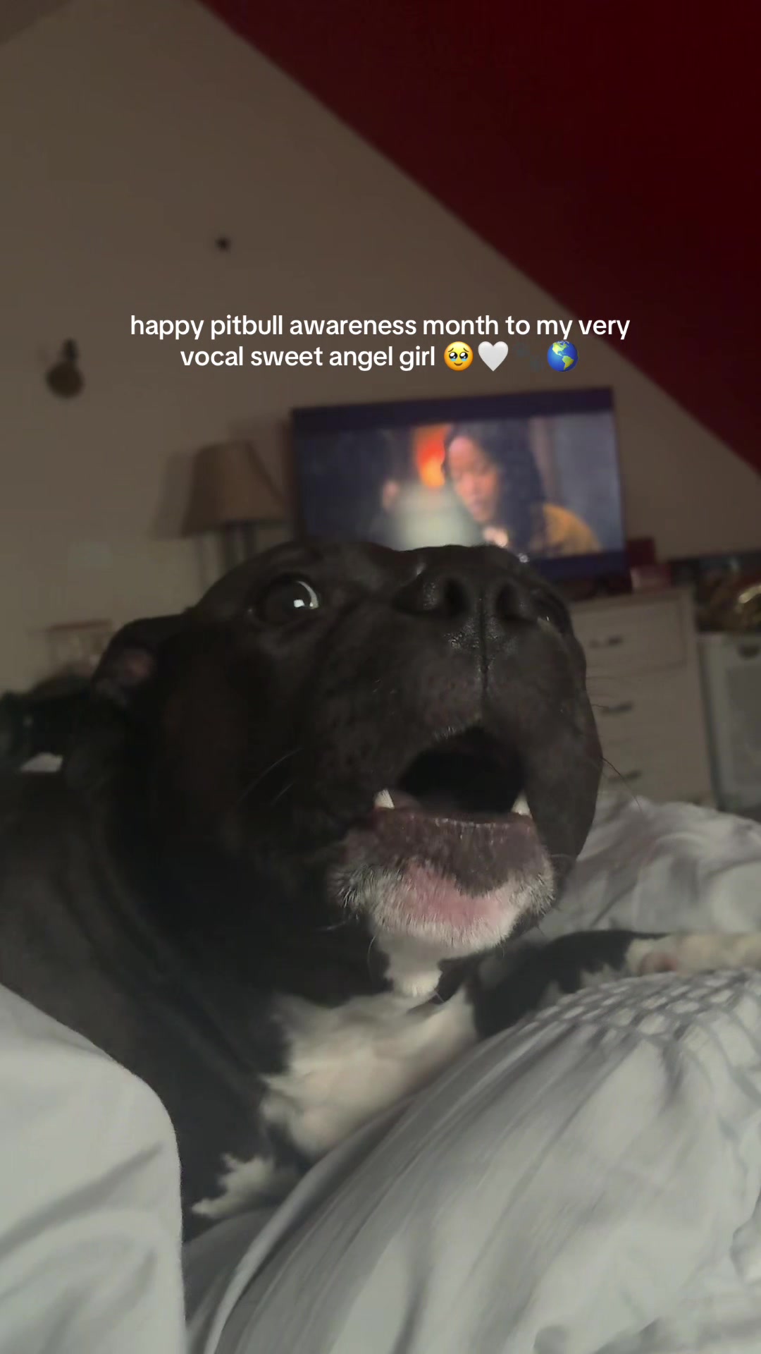 @zotaylor