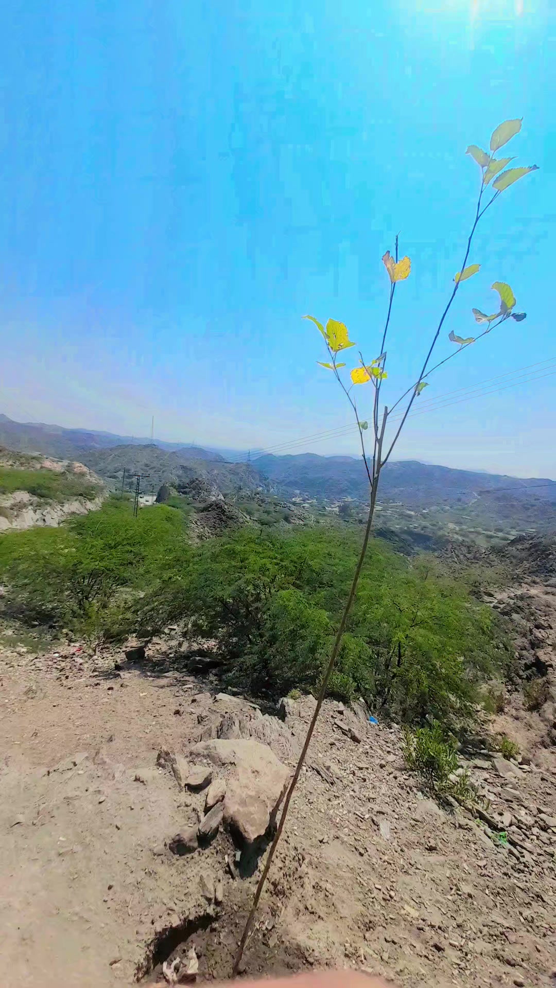 @Mukhtar Shah
