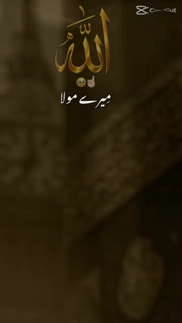 @Awais Malik