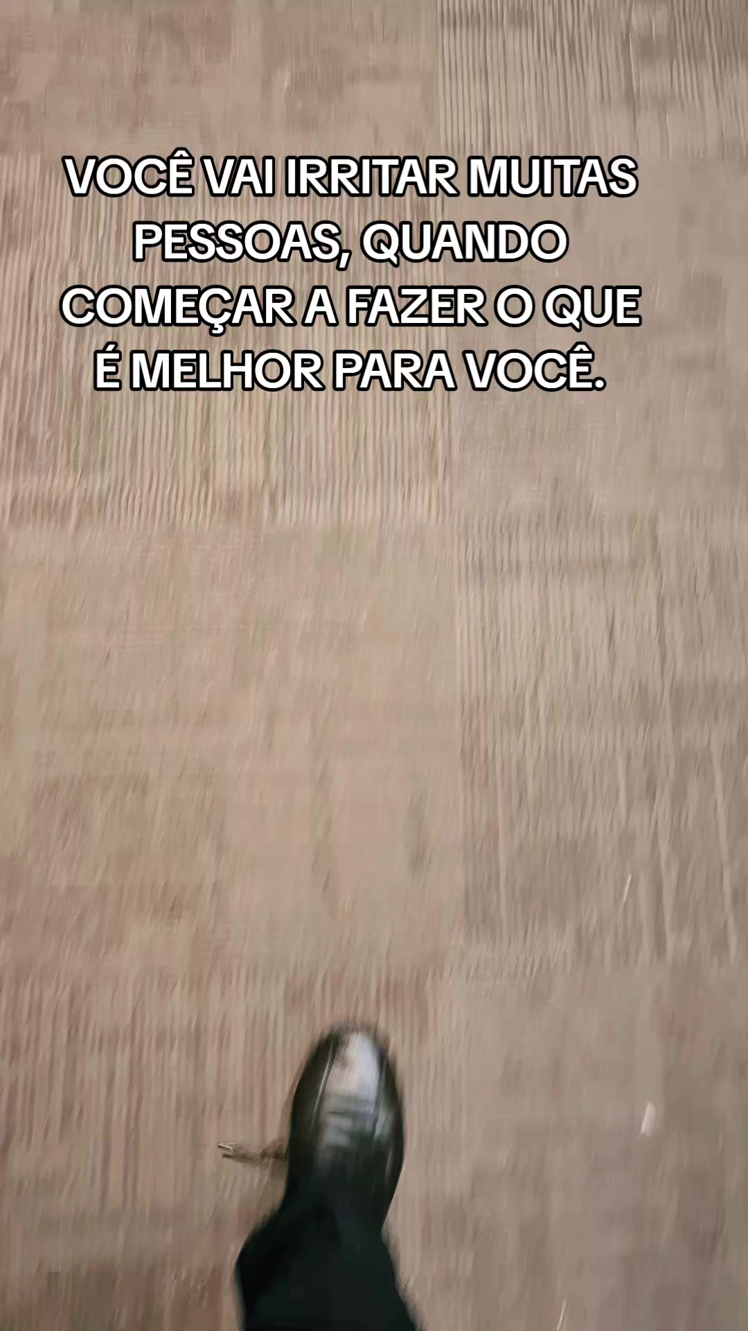 @fernando zaleski'