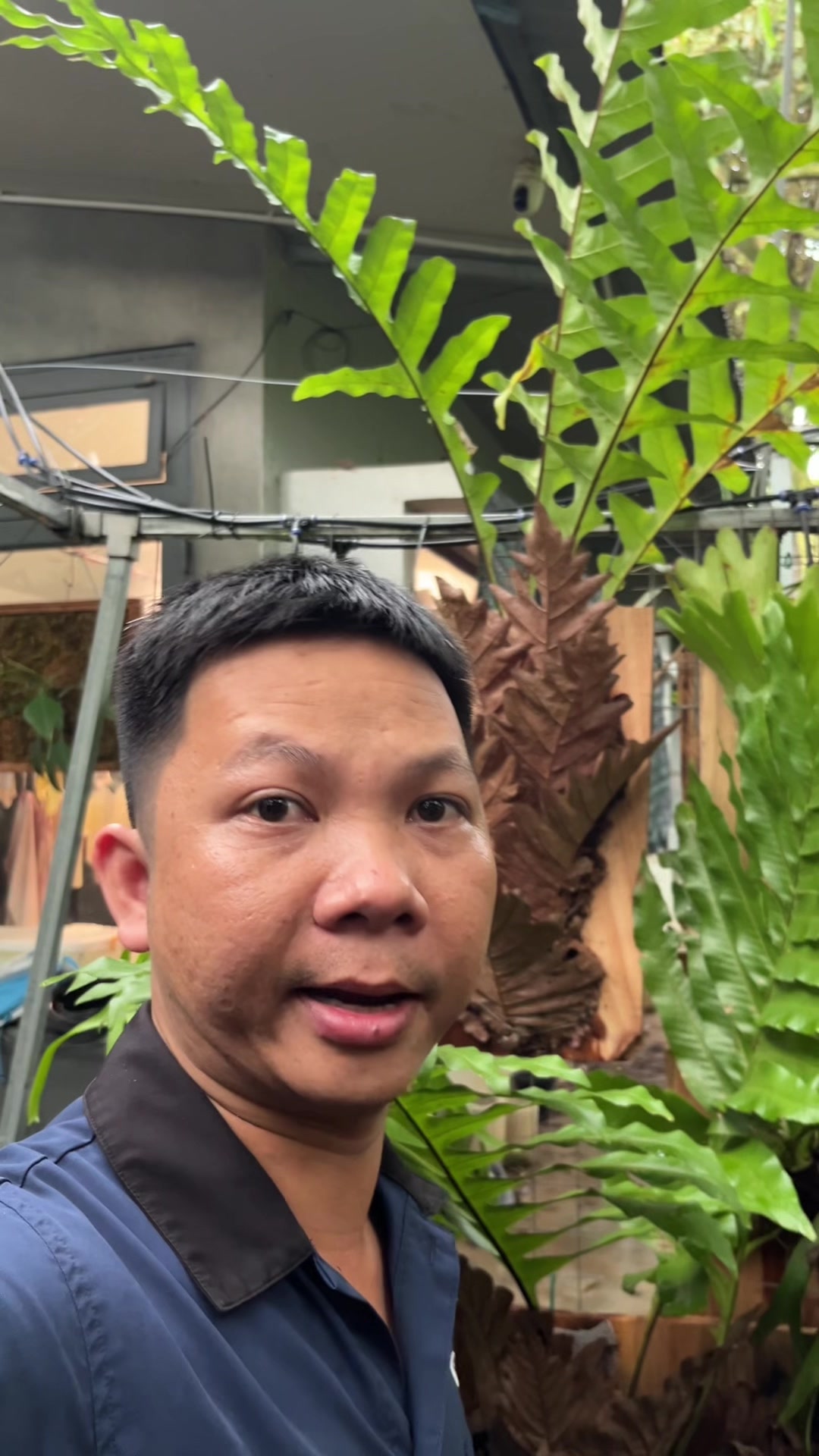 @Huy Kiểng L&aacute;