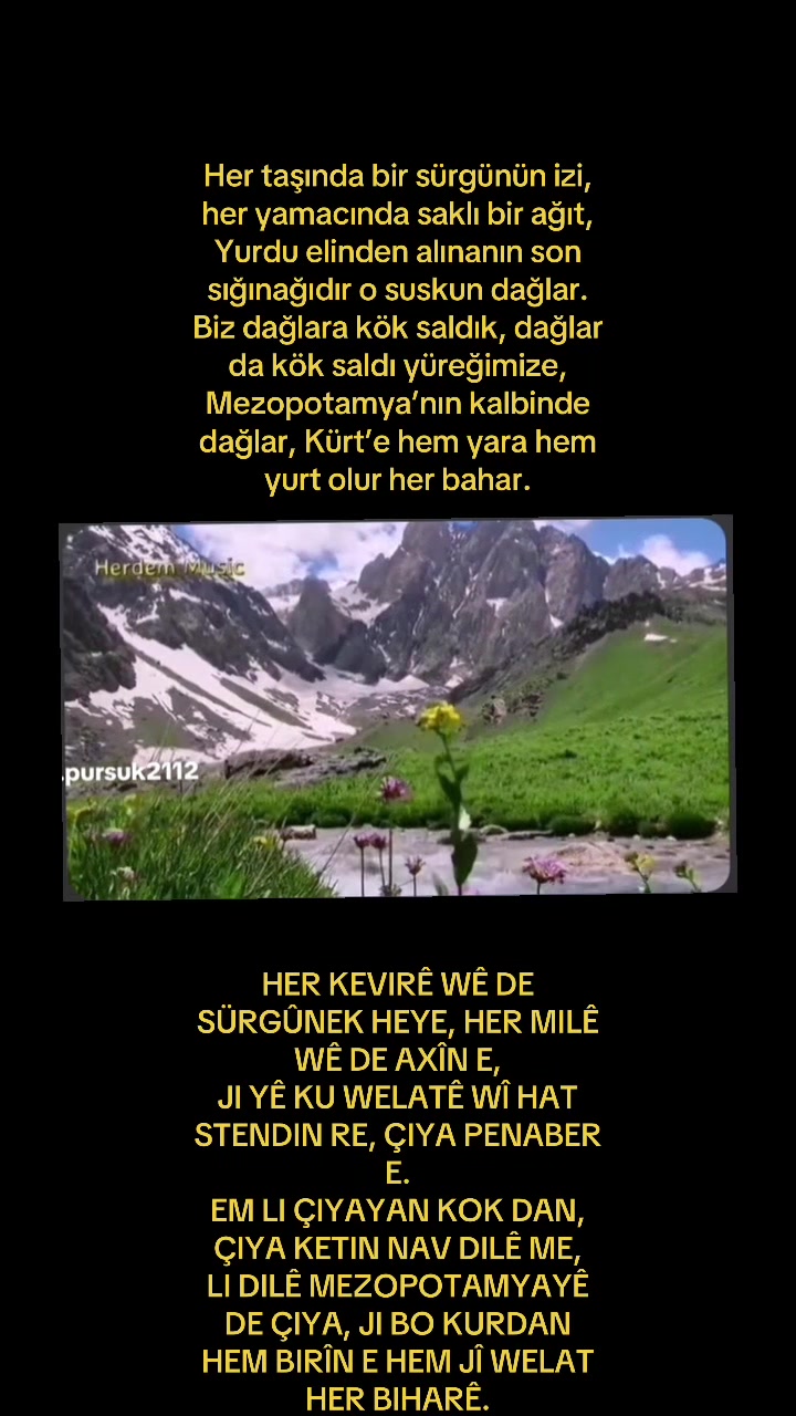 @Mansur pursuk