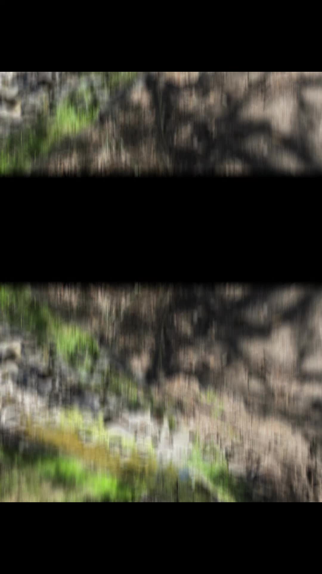 @👑 🎭 La_cura☦️🇺🇸 🇲🇽