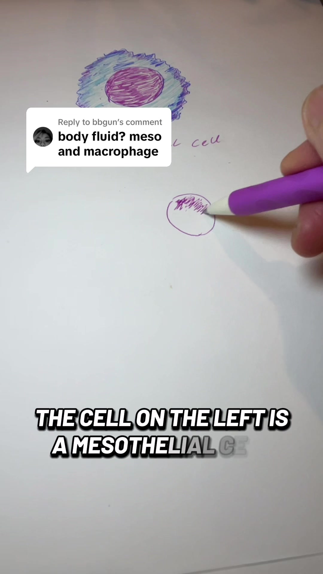 @BisayaMedTech