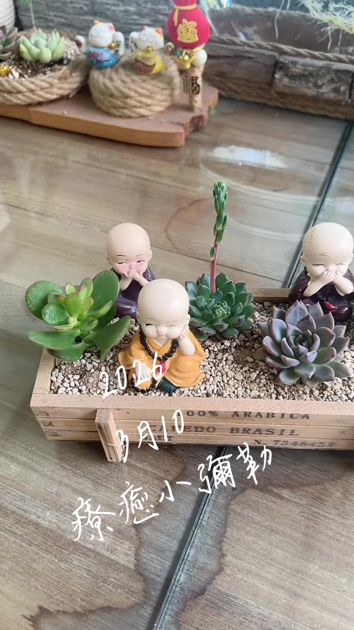 @李青