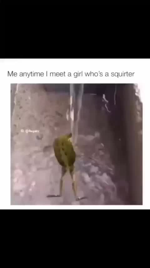 @ernest