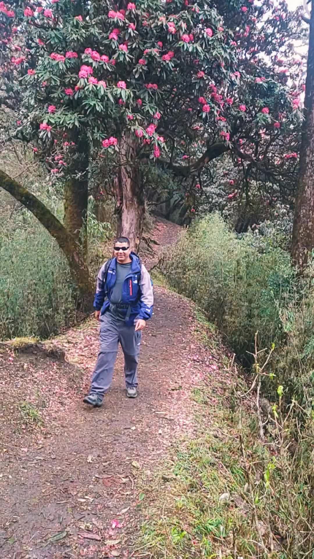 @Mukti Adhikari 999