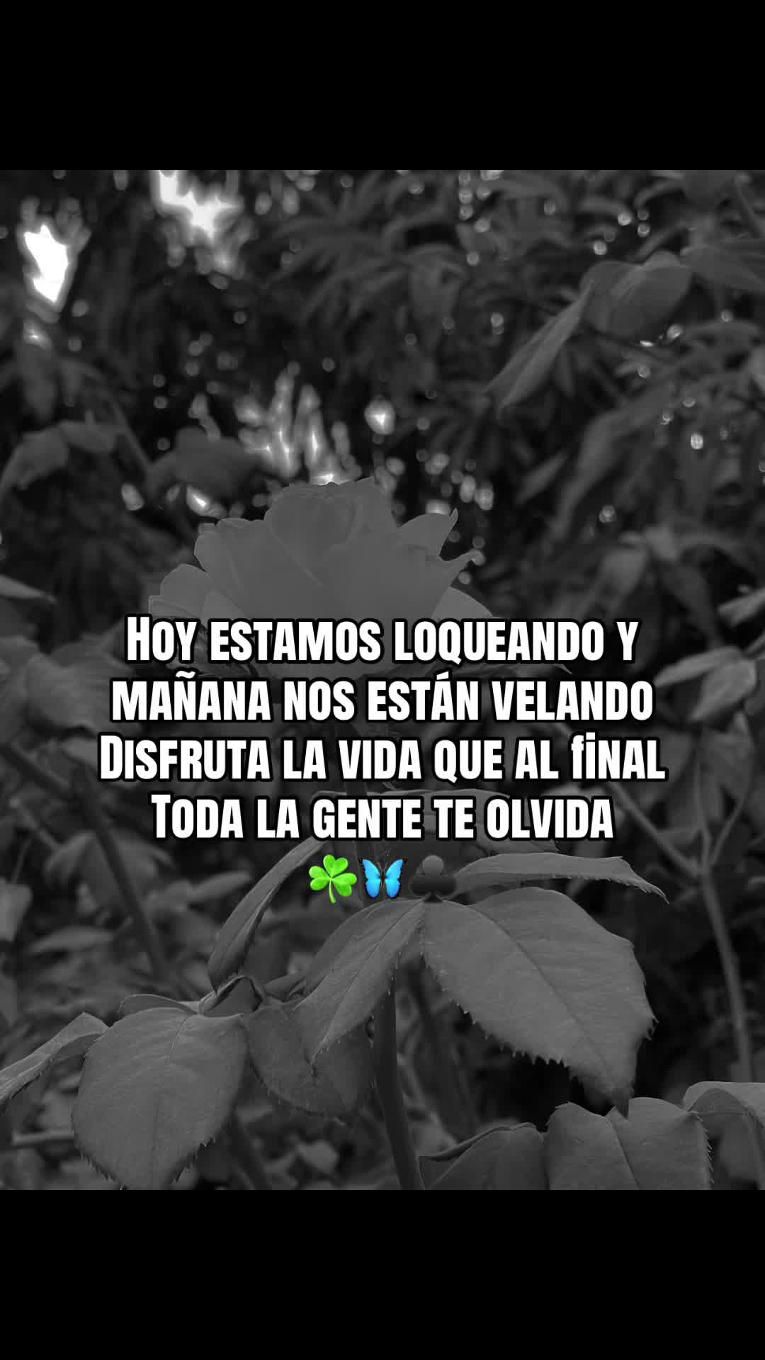 @🇲🇽 la Natali 🦋