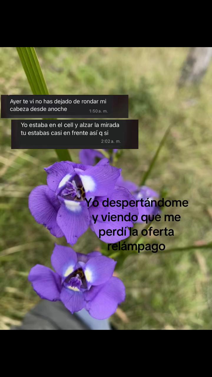 @Alexandra