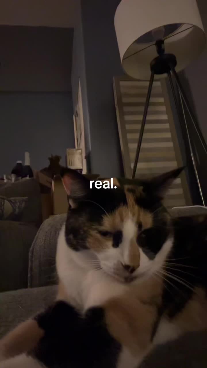 @krysta