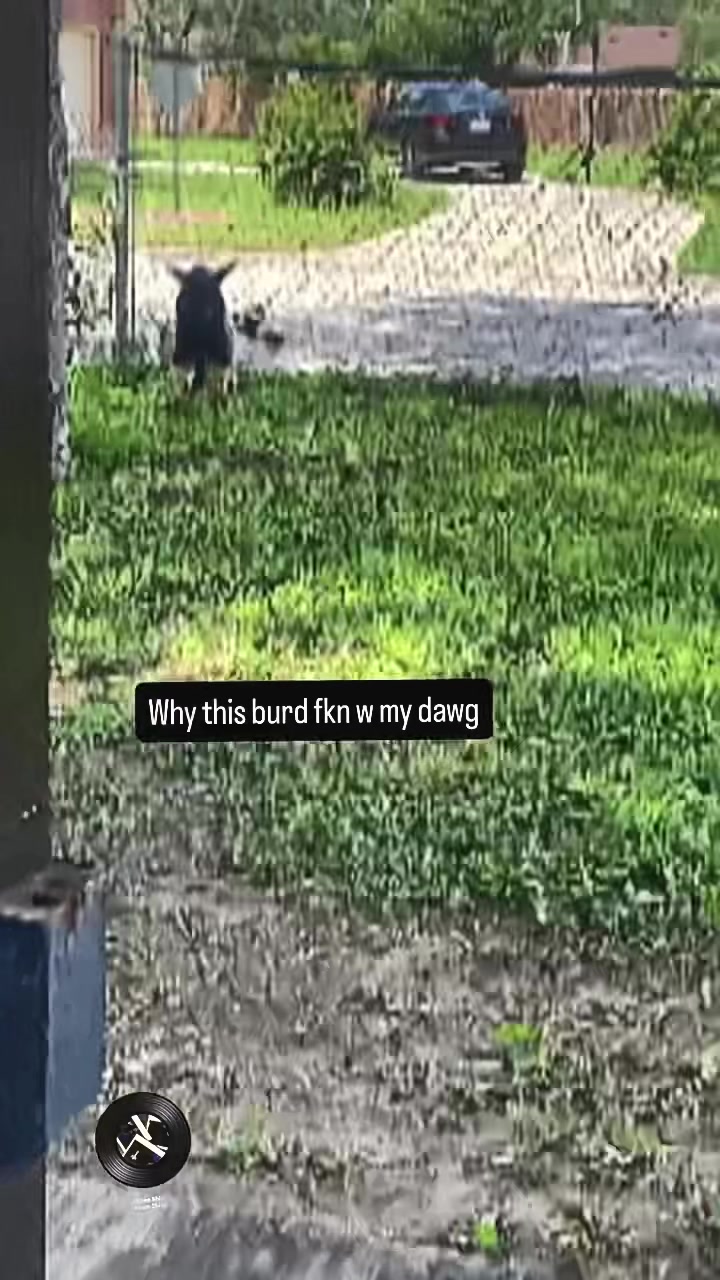 @SUM LIKE WAR