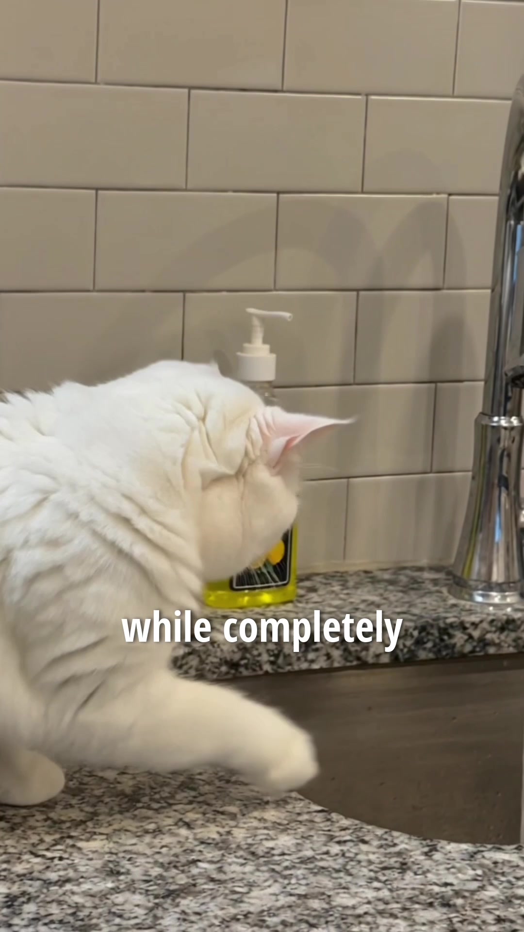 @EXE