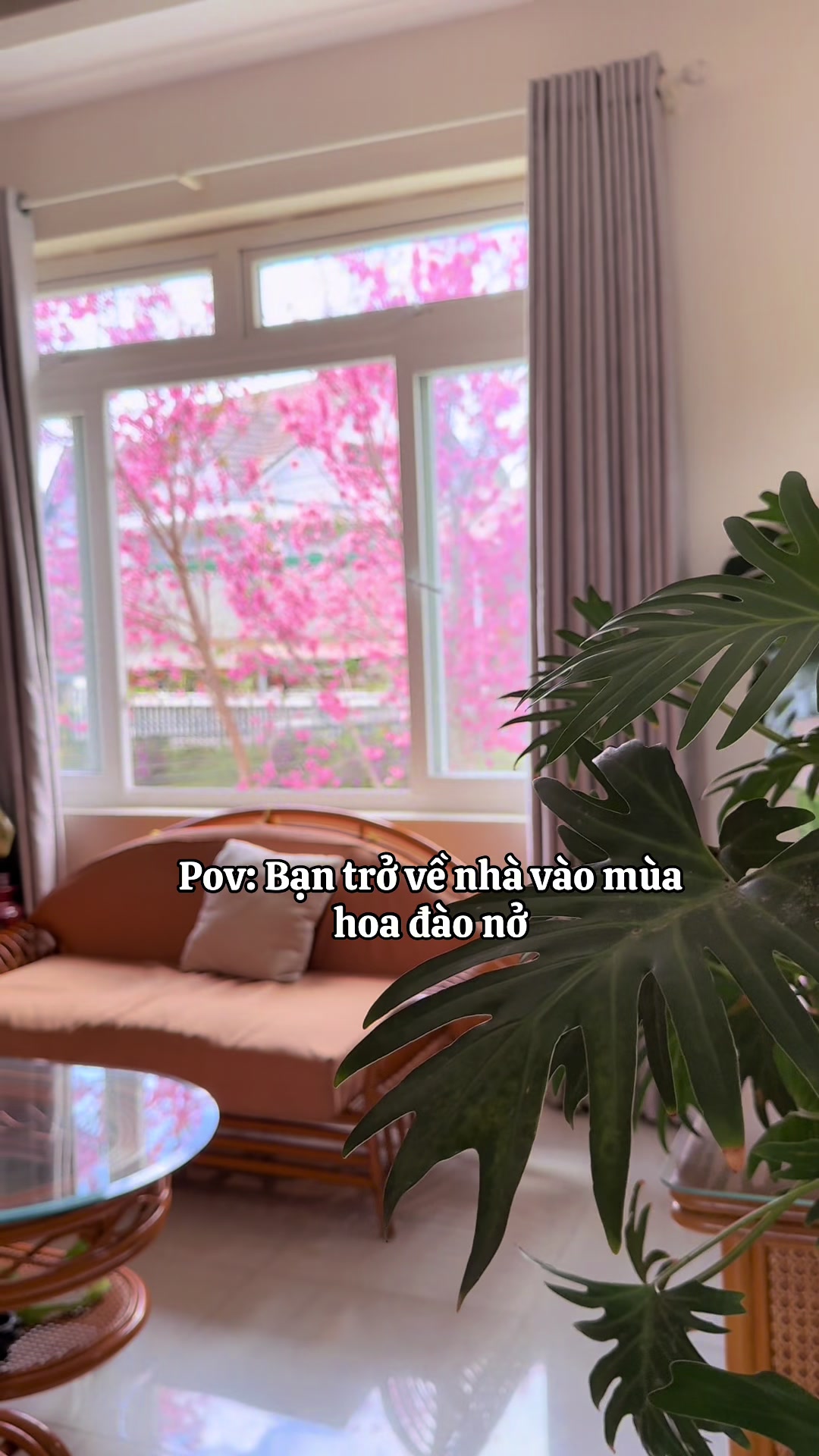 @K&Uacute;N ĐẾN Đ&Acirc;Y 🐾