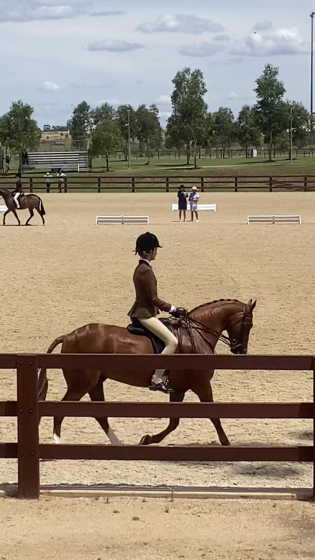 @AR show horses