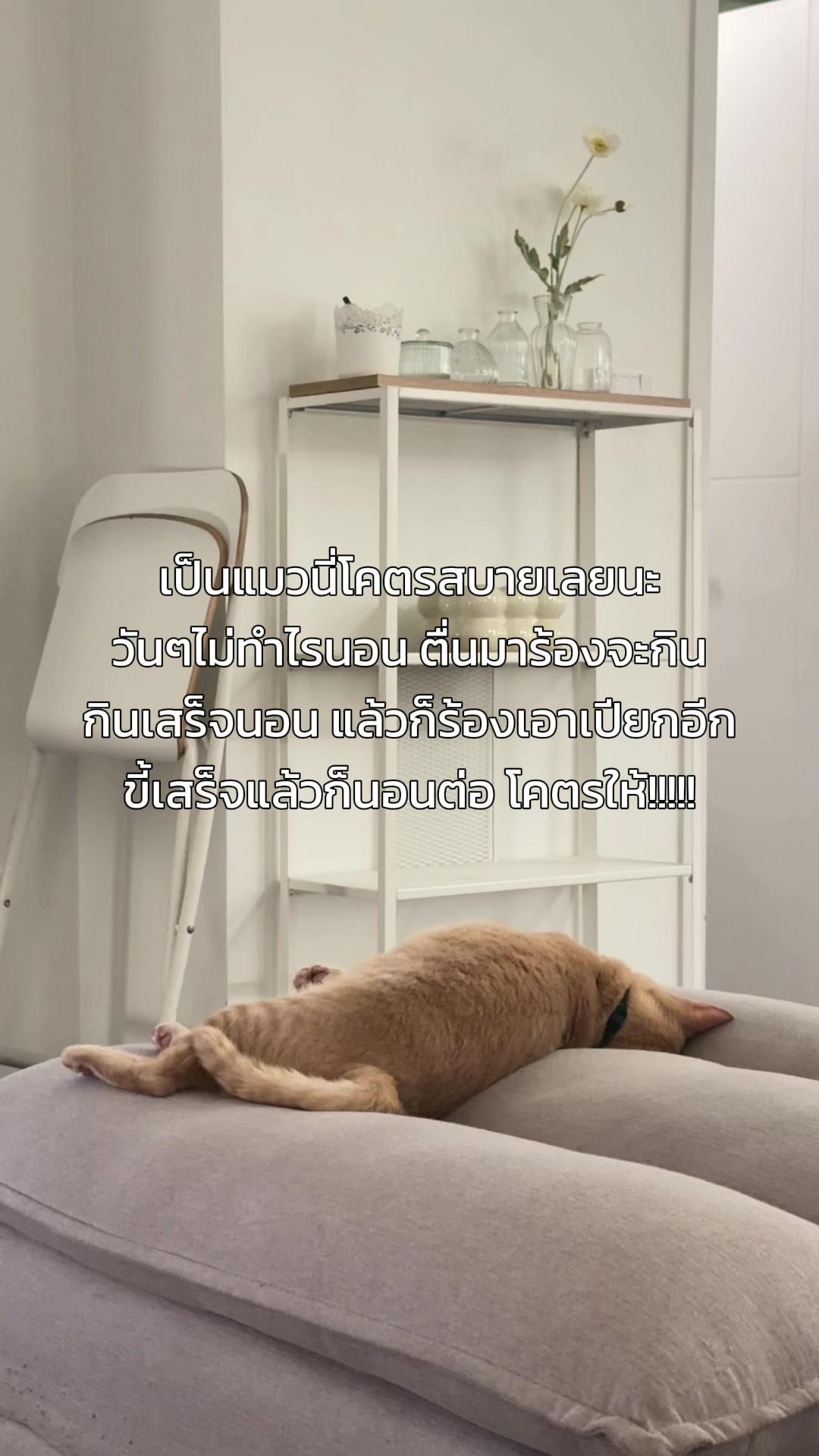 @ทัคคุณ