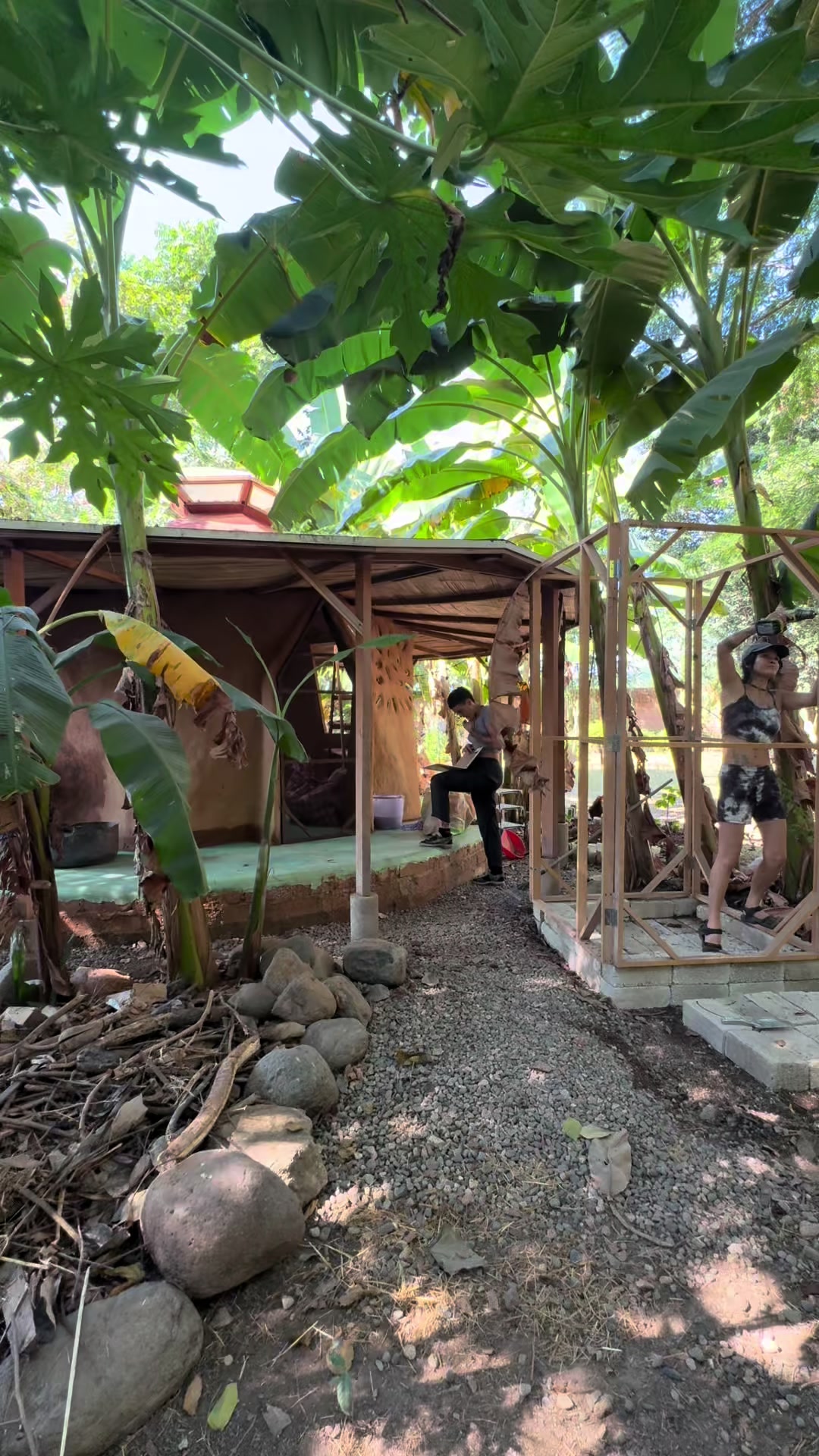 @Hali🌿 de Cultura Regenerativa