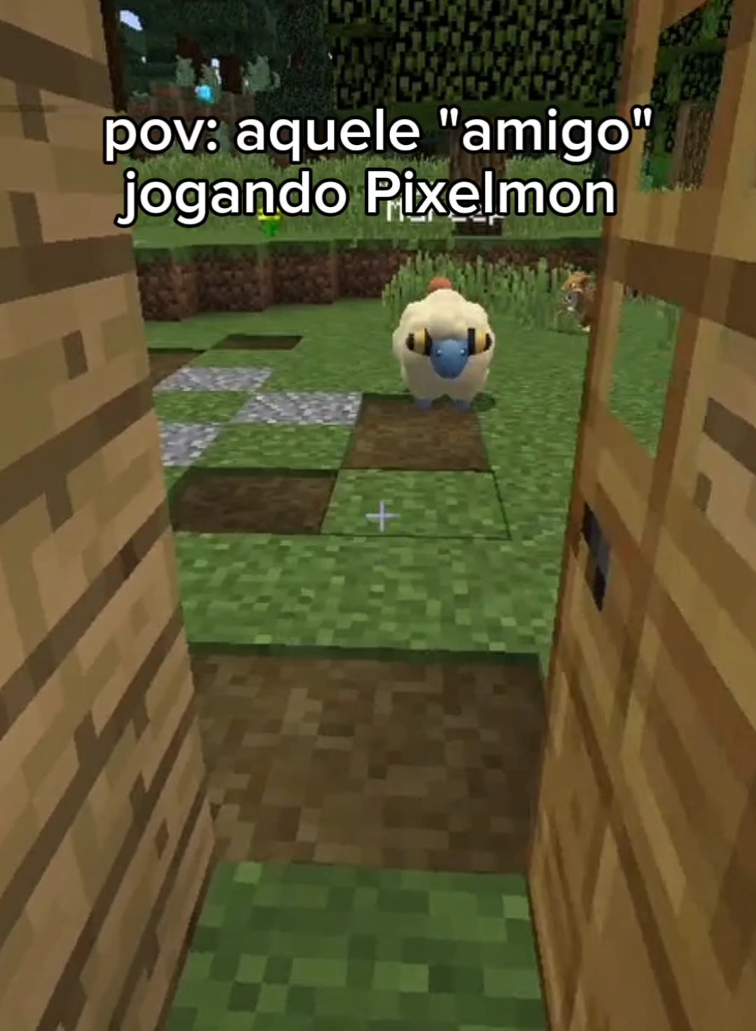 @NetPixelmon