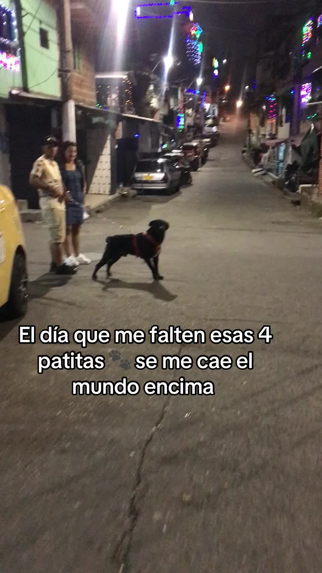 @tattiflorez ✨