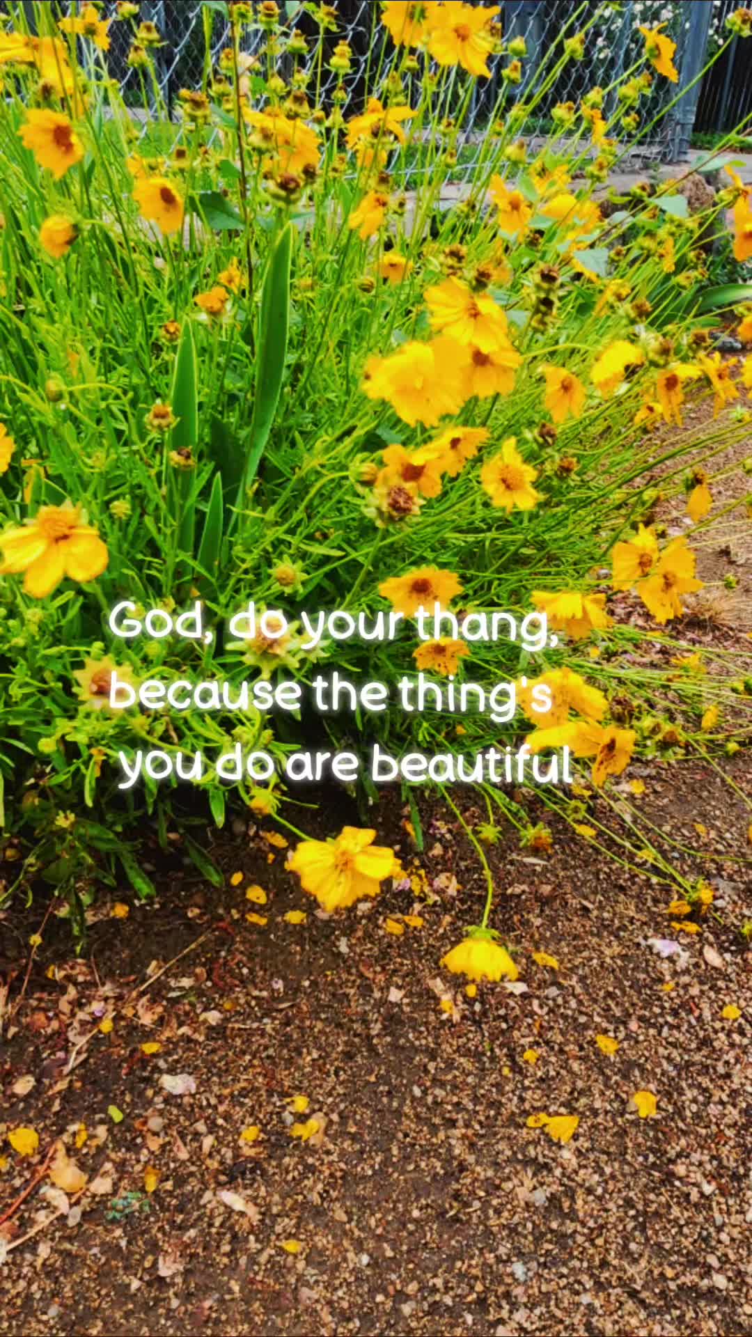 @🥀