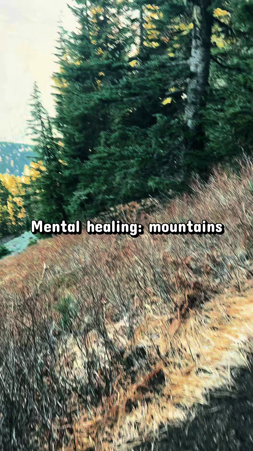 @🌲 James | WA 🏔️