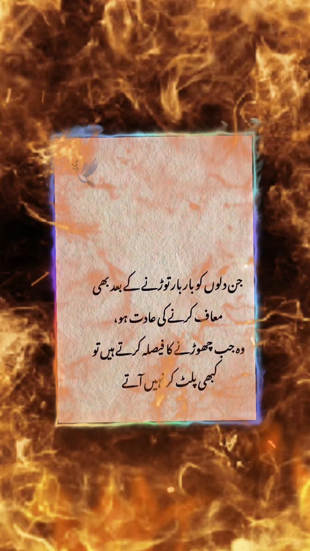 @Kash🌹