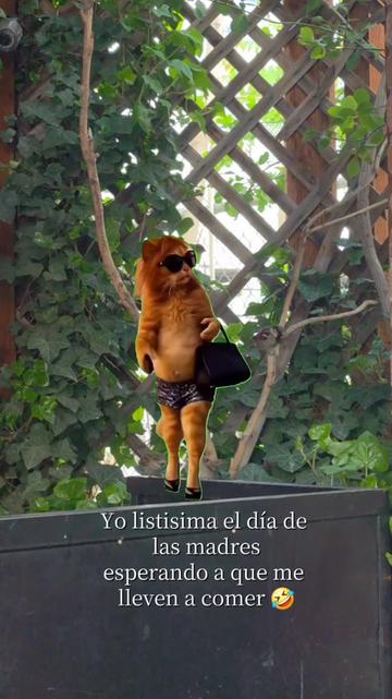 @Astrid Ortega