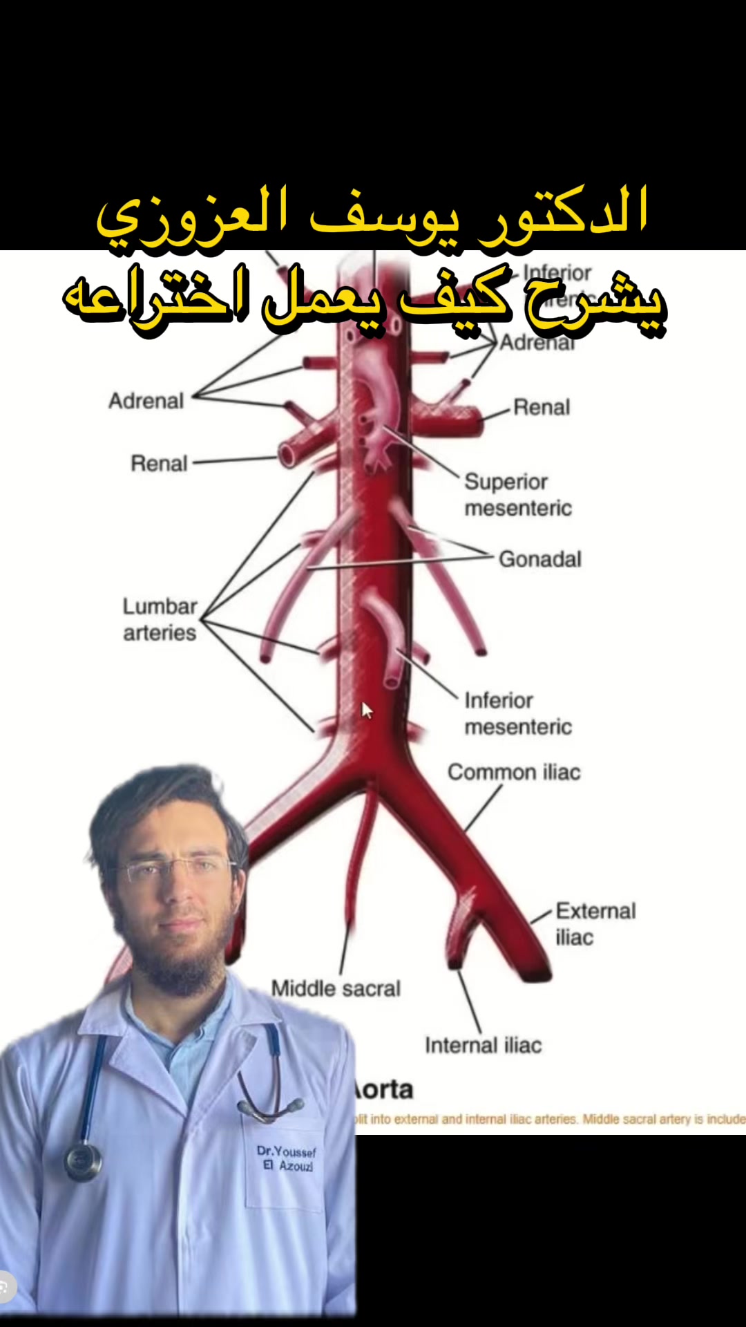@Youssef