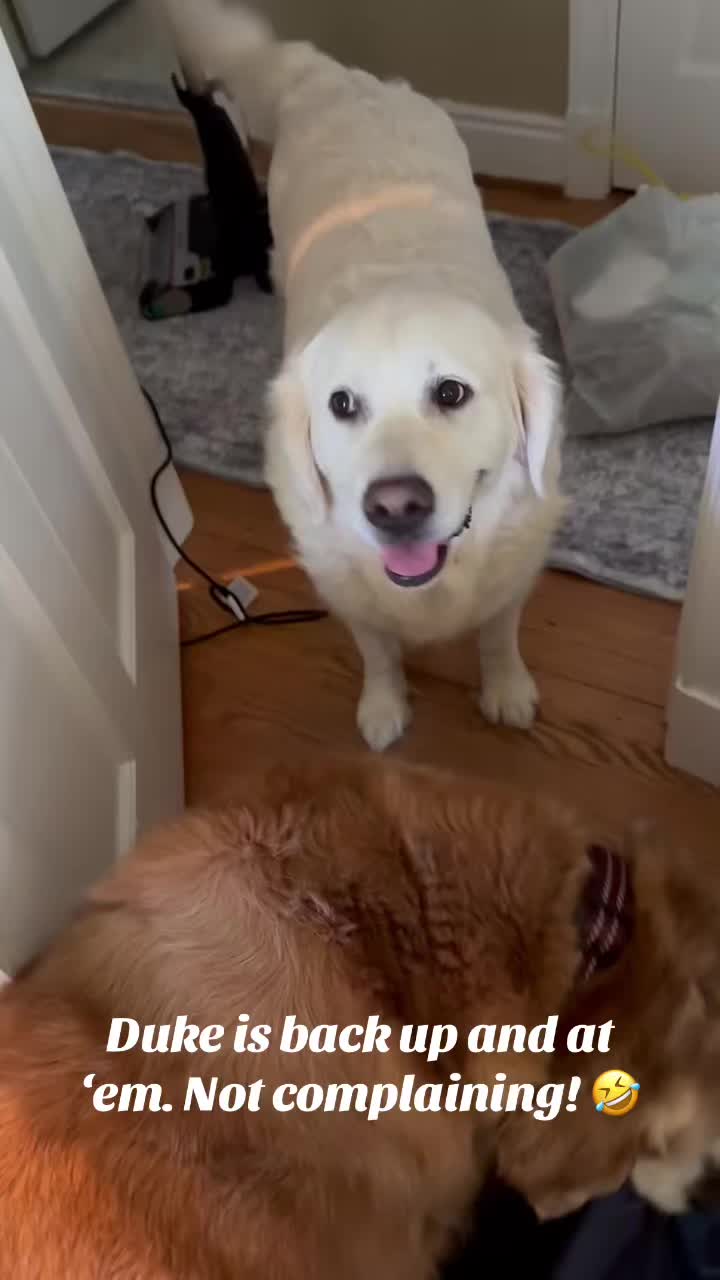 @lifewithduke2025