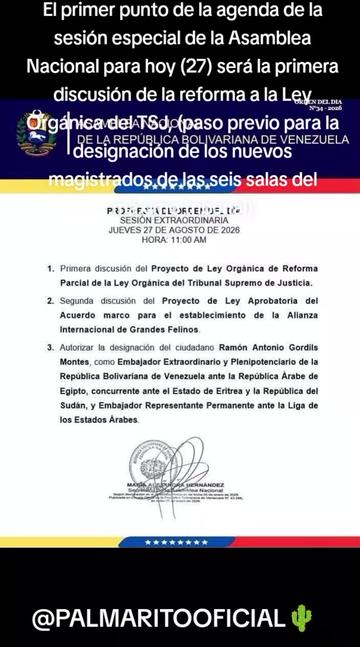 @PALMARITOOFICIAL 🌵