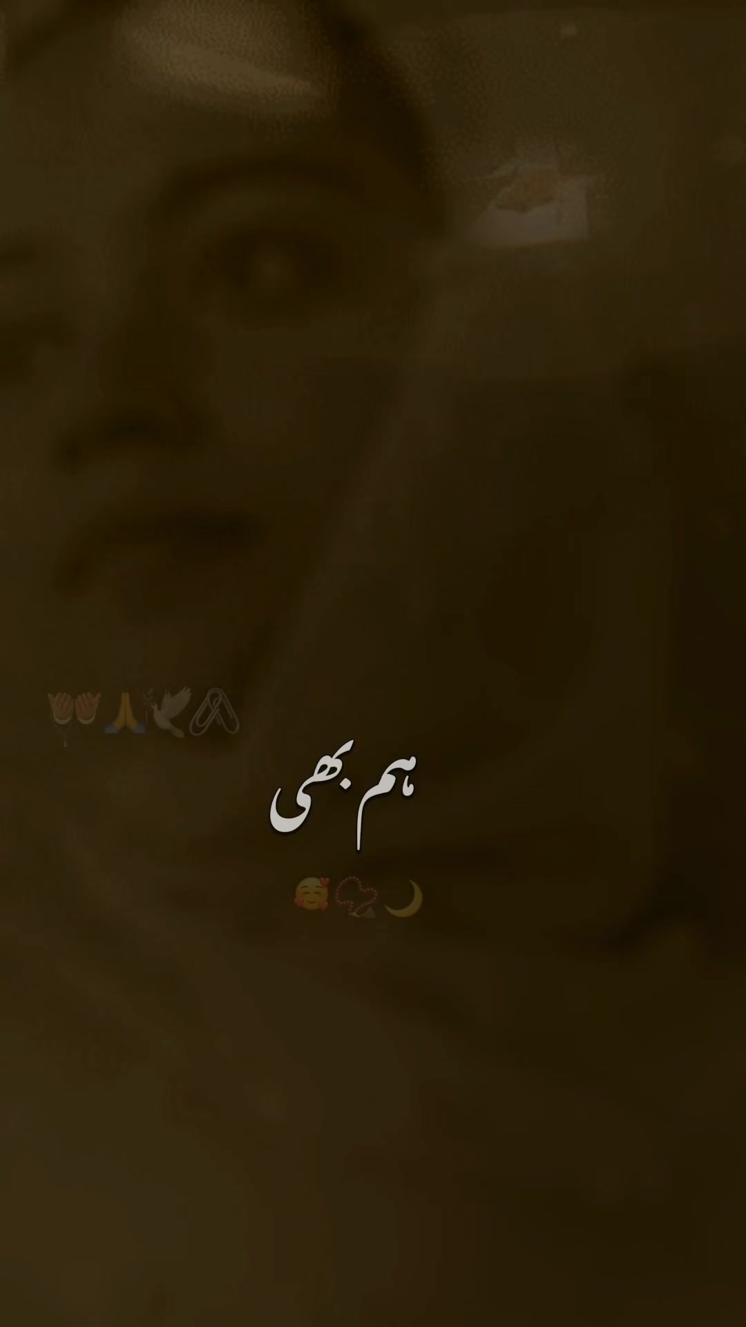 @ZOYA