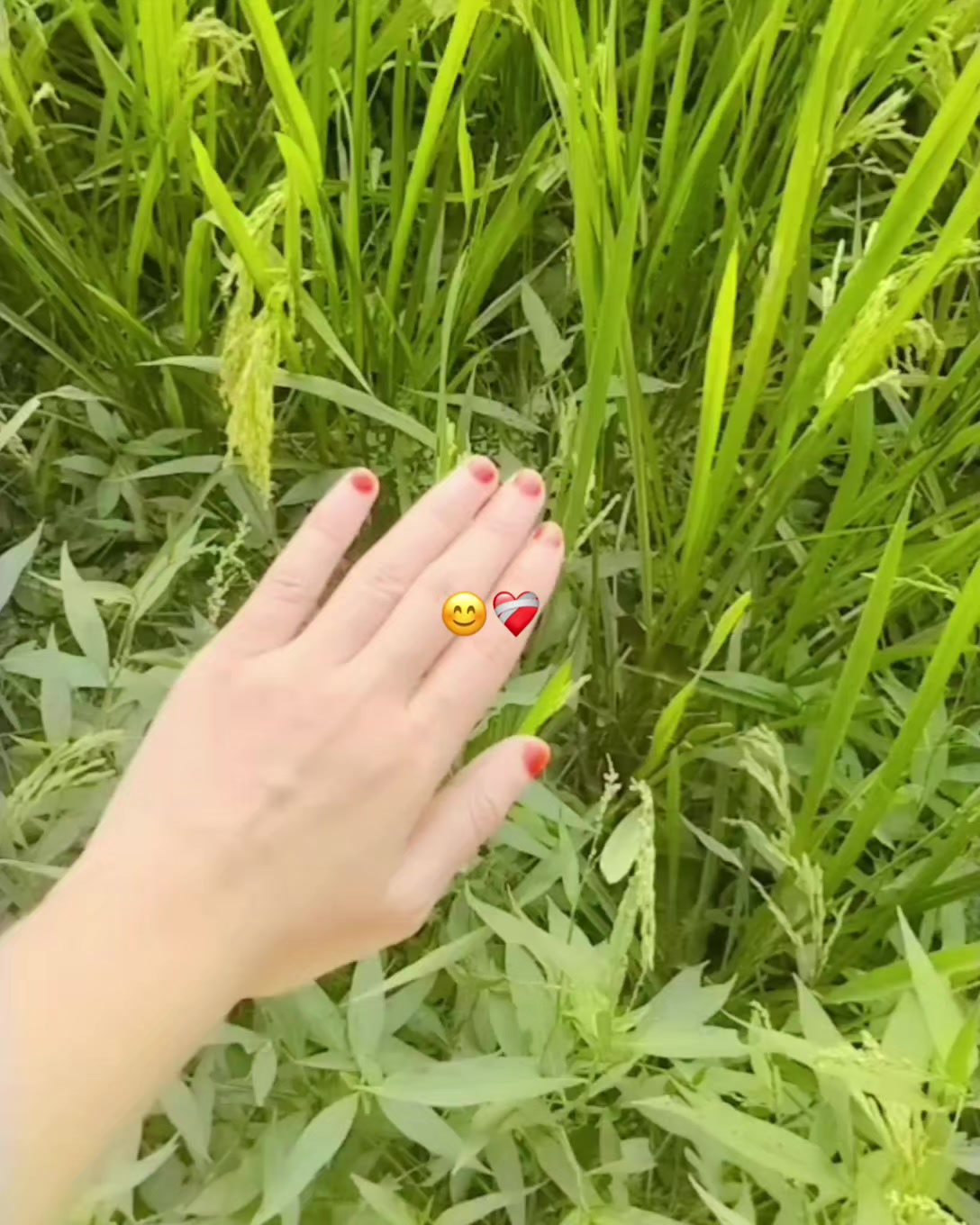 @Mihu?