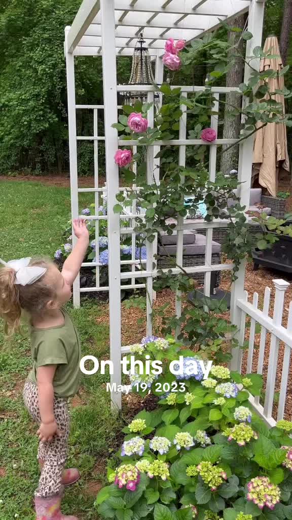 @Cottageonwynn