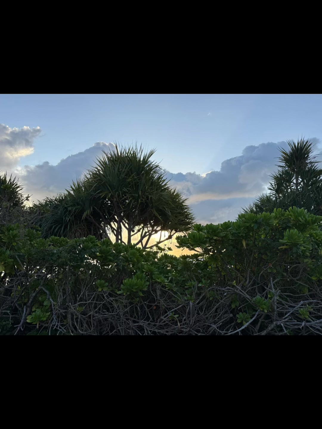 @🌅太郎🌊